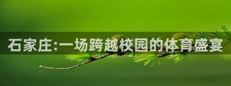米兰体育官网下载注册:石家庄:一场跨越校园的体育盛宴