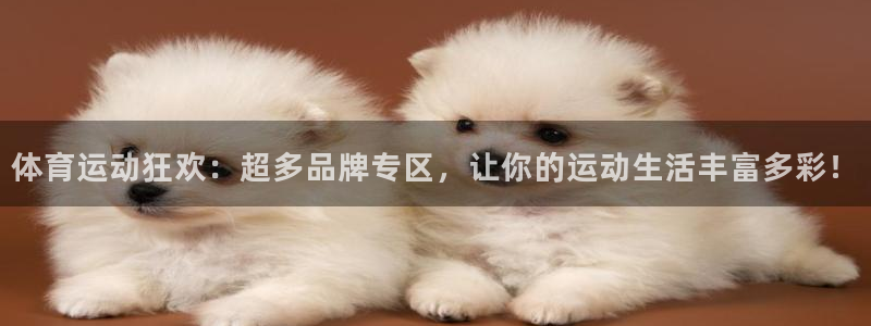 米兰体育官网下载平台假的吗是真的吗吗:体育运动狂欢:超多品牌